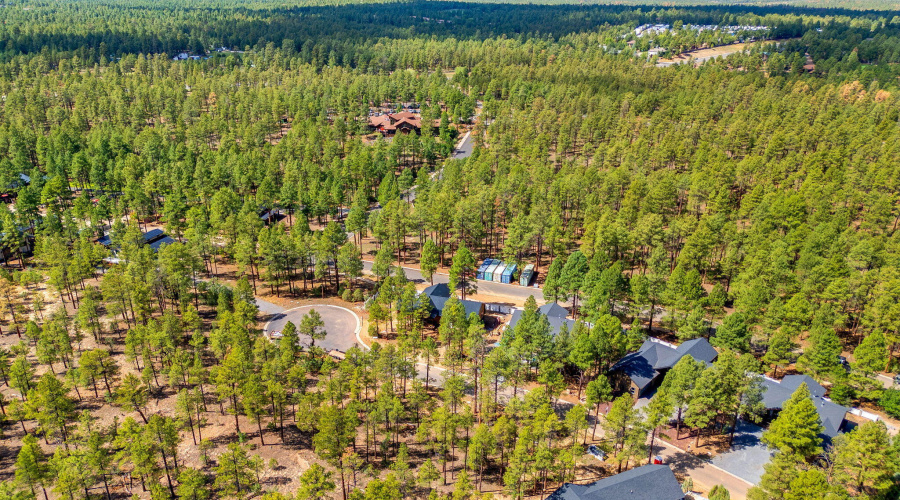 30NBenchCir-ShowLow-AZ-13