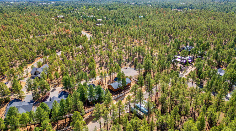 30NBenchCir-ShowLow-AZ-14