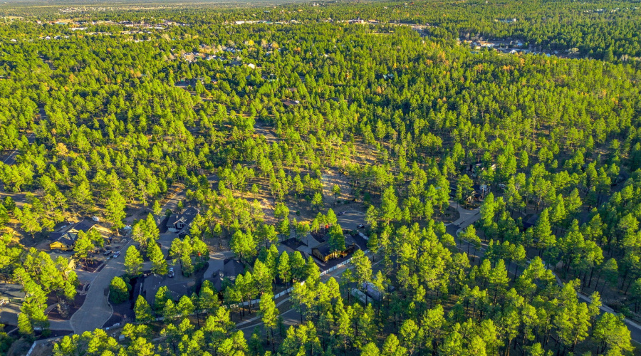 30NBenchCir-ShowLow-AZ-36