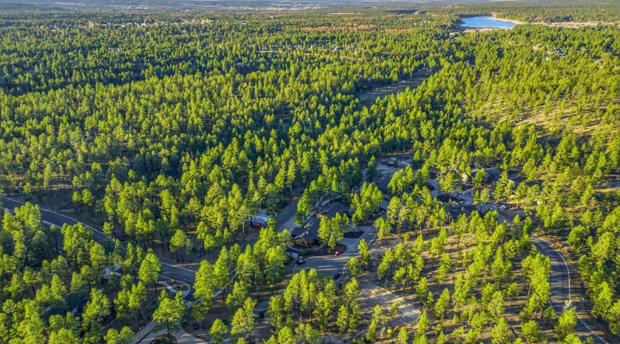 30NBenchCir-ShowLow-AZ-37