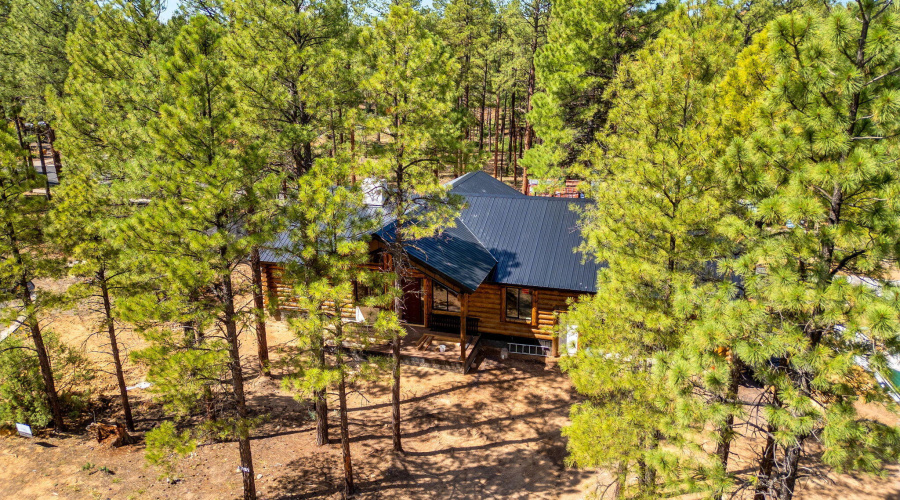 30NBenchCir-ShowLow-AZ-10