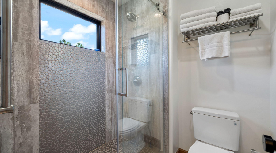 Guest House Primary Shower