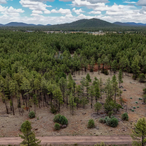 DJI_20250729145216_0041_D