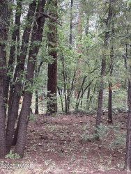 3887 Bermuda Circle, Pinetop, Arizona 85935, ,Land,For Sale,Bermuda,257560