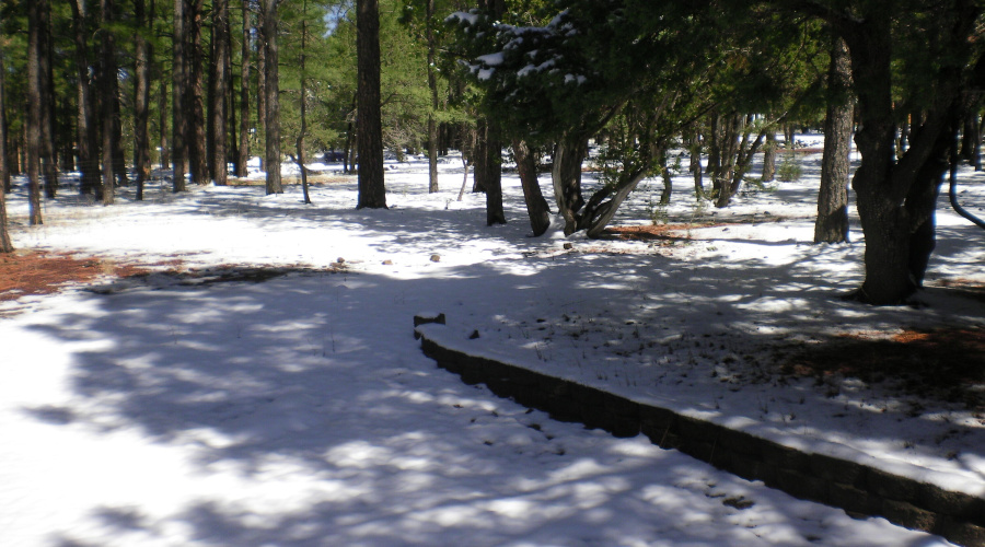 9211 Holly Ln (2) - Copy