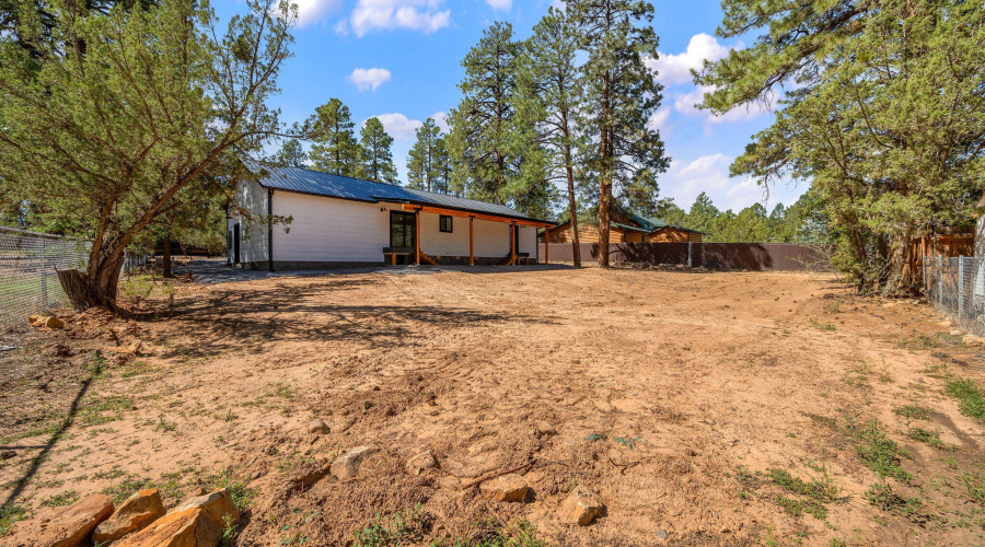 1982ChristmasPineRd-HeberOvergaard-AZ-23