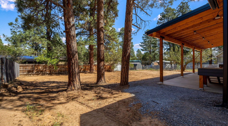 1982ChristmasPineRd-HeberOvergaard-AZ-25