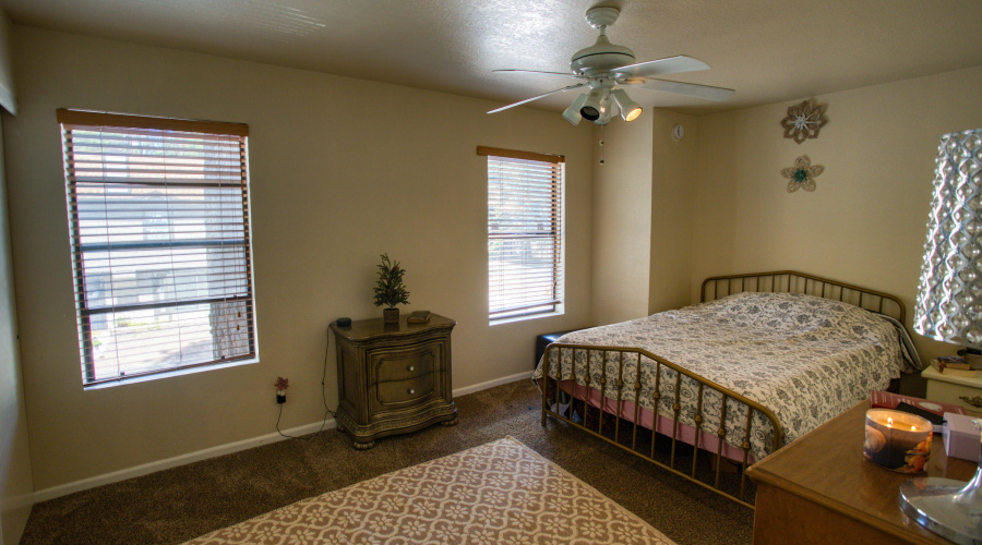 Paxmanphoto_PAX_2794