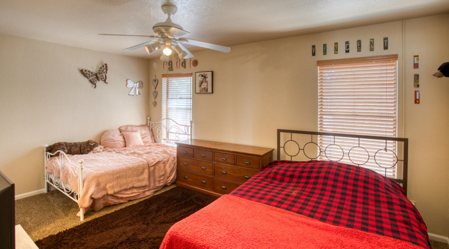 Paxmanphoto_PAX_2786