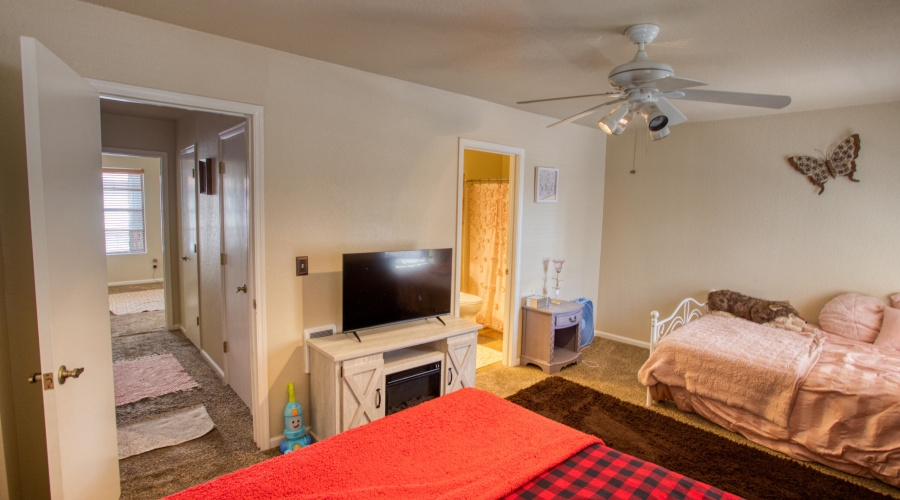 Paxmanphoto_PAX_2788