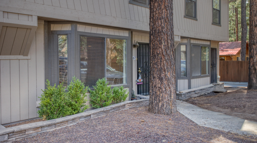 Paxmanphoto_PAX_2848