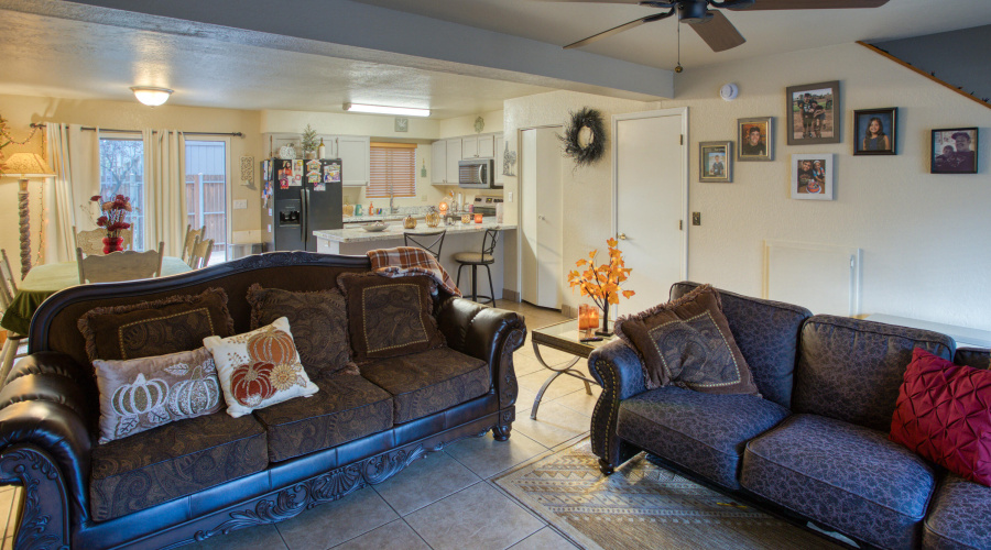 Paxmanphoto_PAX_2818