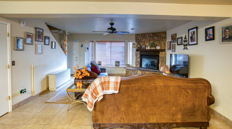 Paxmanphoto_PAX_2809