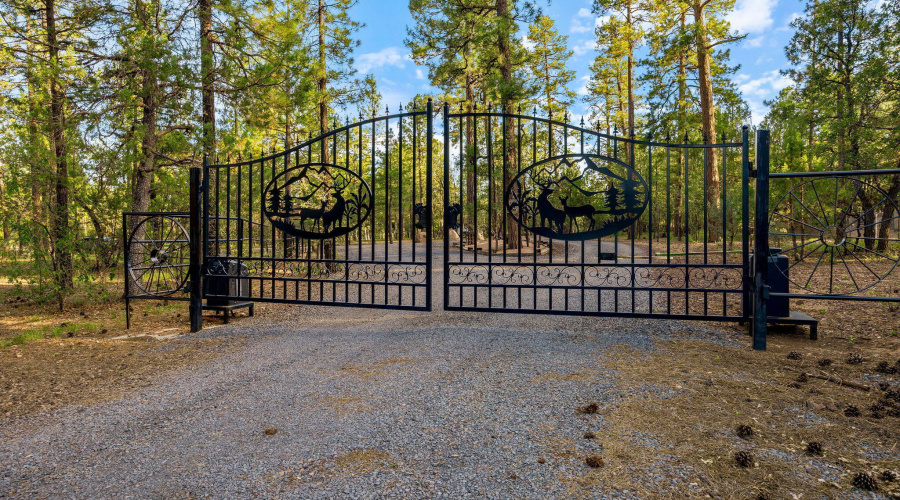 Custom Front Gates