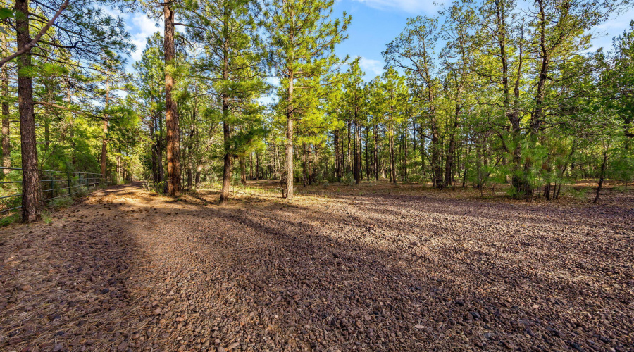 Fenced Turnout for Animals