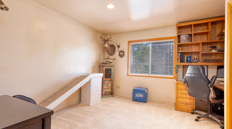 Office/Guest Bedroom