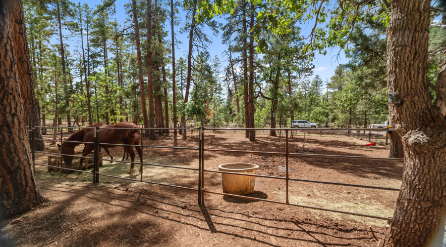Front horse corrals