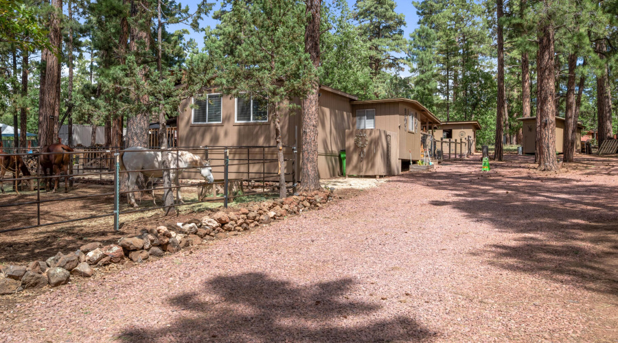 Street view from drive