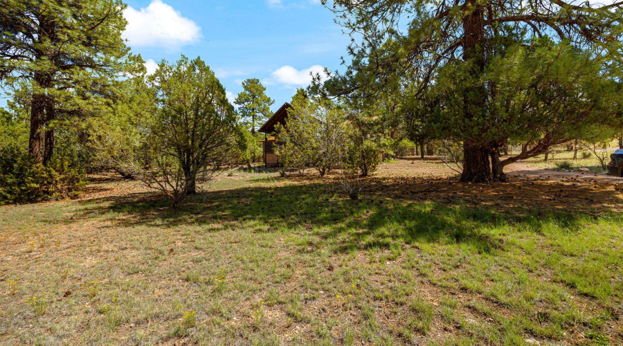 2240RoundaboutWay-HeberOvergaard-AZ-2