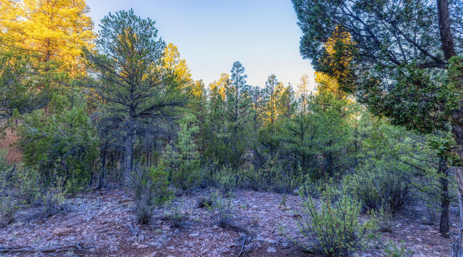 photo(7) 2333 Elk Ridge LN OG Brooke 072