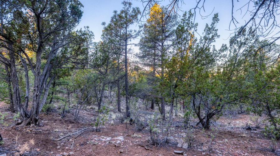 photo(8) 2333 Elk Ridge LN OG Brooke 072