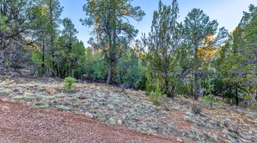 photo(9) 2333 Elk Ridge LN OG Brooke 072