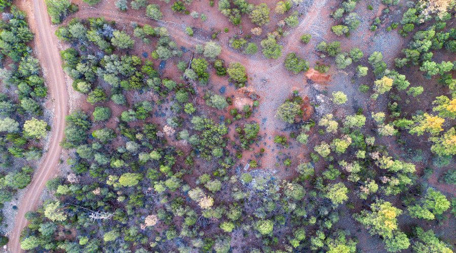 photo(10) 2333 Elk Ridge LN OG Brooke 07