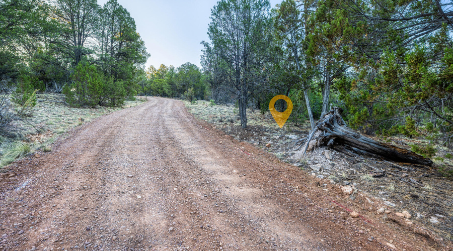 photo(4) 2333 Elk Ridge LN OG Brooke 072