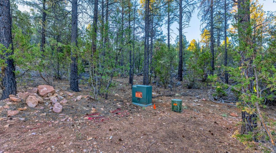 photo(6) 2333 Elk Ridge LN OG Brooke 072