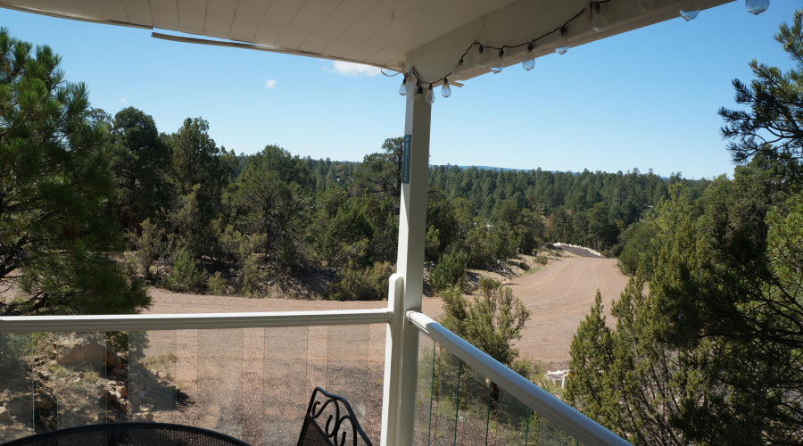 009 700 sq ft Trex Deck with outdoor din