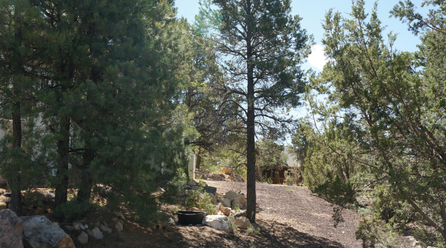 021 Pathway to the street