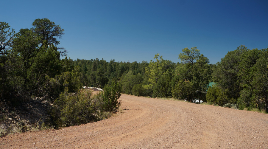 020 Down the Street View