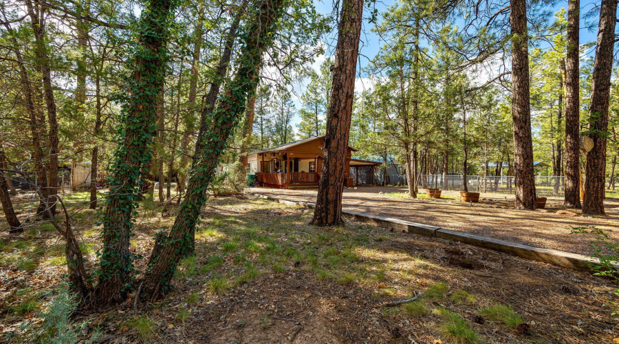 1912WPkwy-Lakeside-AZ-24