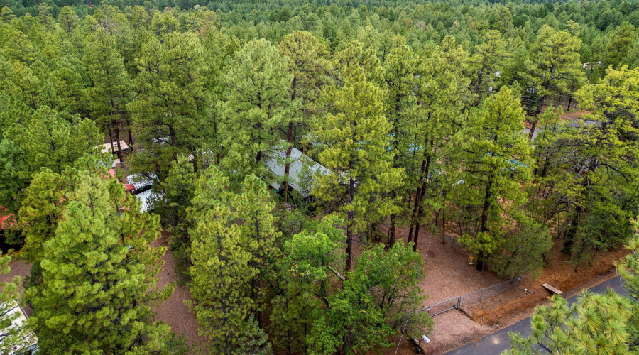 1912WPkwy-Lakeside-AZ-30