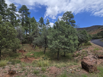 0 Lot #66, Pine, Arizona 85544, ,Land,For Sale,Lot #66,92893