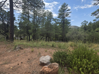 Lot #67, Pine, Arizona 85544, ,Land,For Sale,Lot #67,92894