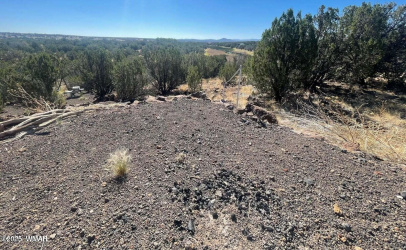 1787 Bemus Place, Show Low, Arizona 85901, ,Land,For Sale,Bemus,257990