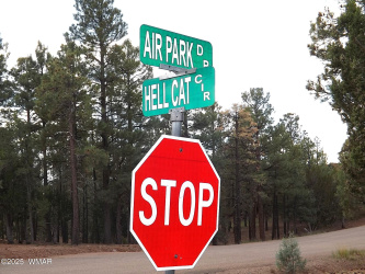 2347 Hellcat Circle, Overgaard, Arizona 85933, ,Land,For Sale,Hellcat,257993