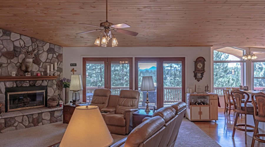 Look at All Those Windows !