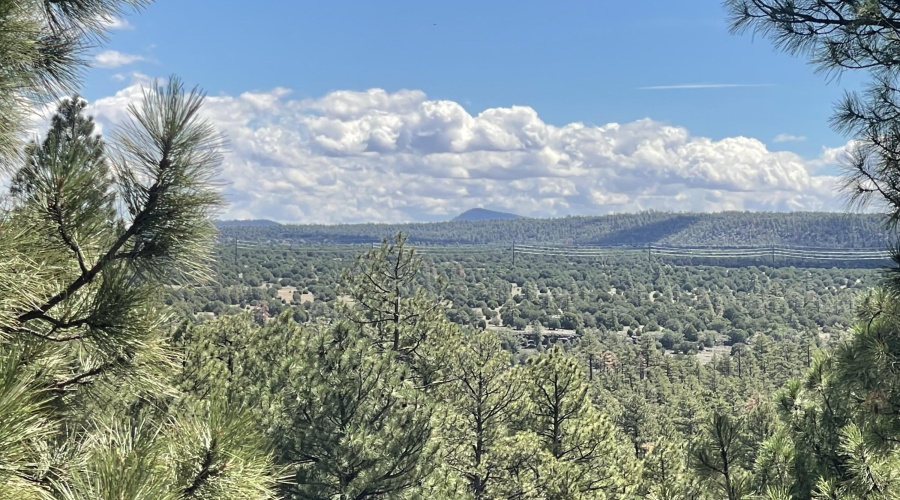 Expansive White Mountain Views