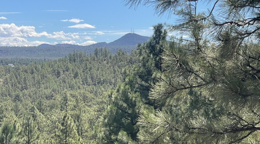 This Could be Your View...