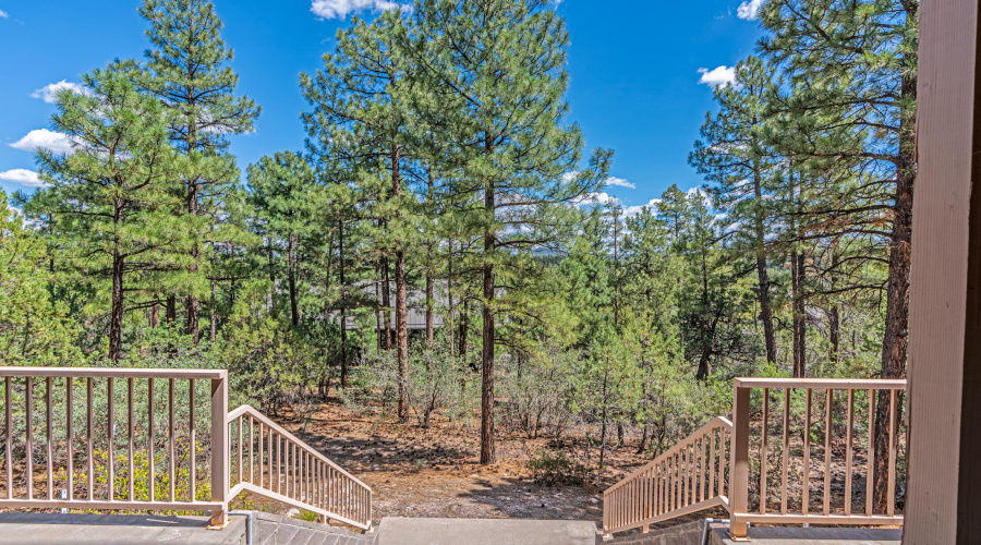 Stairway to Your Back Forest