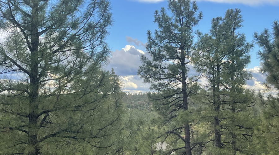 This could be Your View