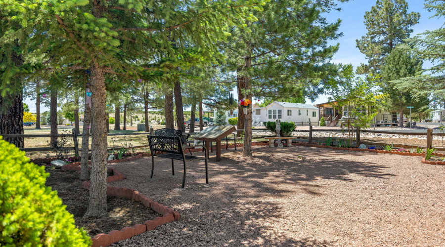 PinecrestLakes-CommunityPhotos (4)