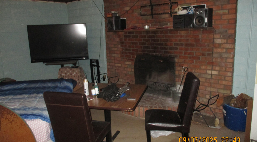 Basement Fireplace