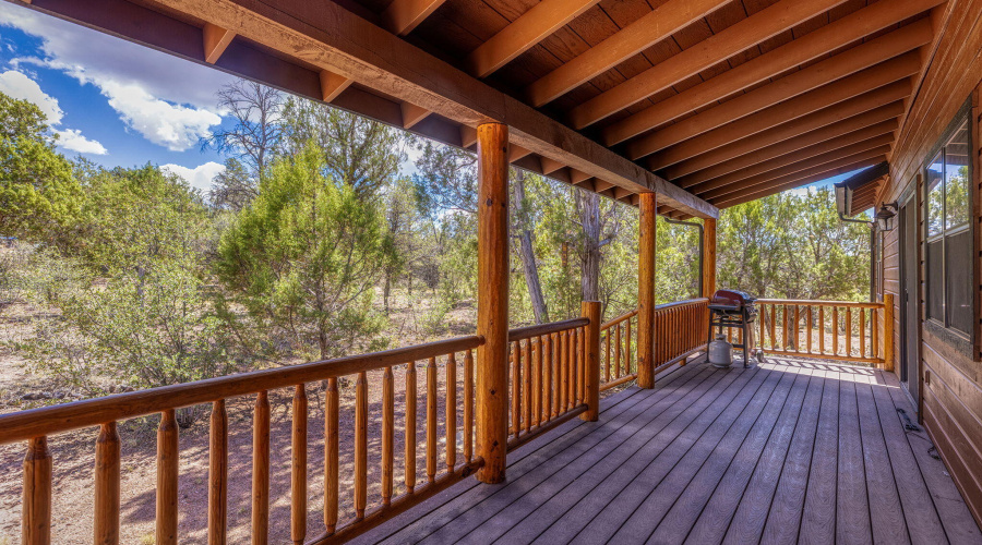 LARGE BACK DECK