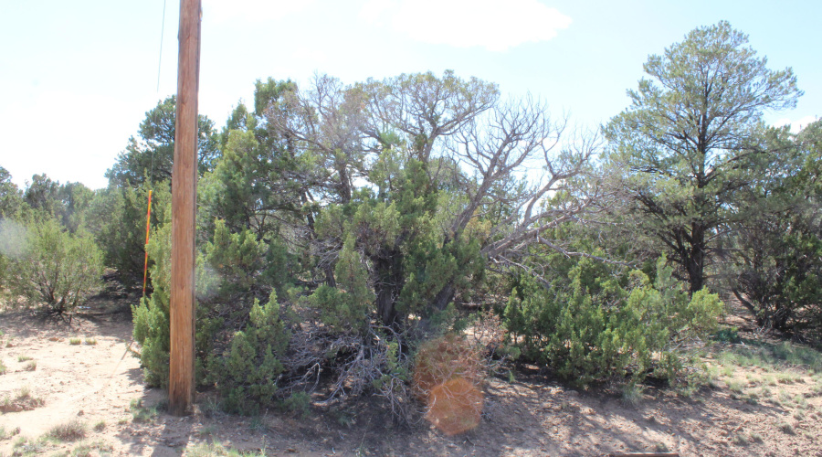 10 & 8 CR 3044 Niksich (13)