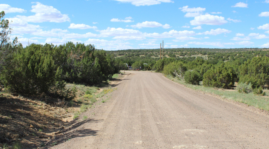 10 & 8 CR 3044 Niksich (1)