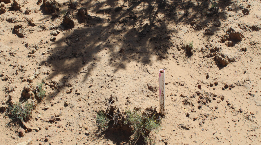 10 & 8 CR 3044 Niksich (3)