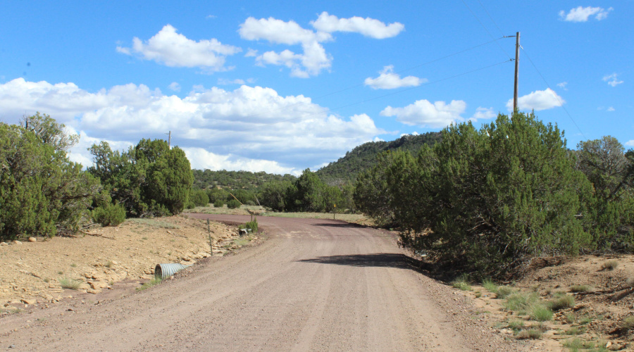 10 & 8 CR 3044 Niksich (2)